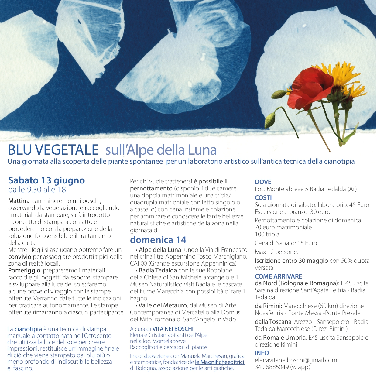 Blu Vegetale