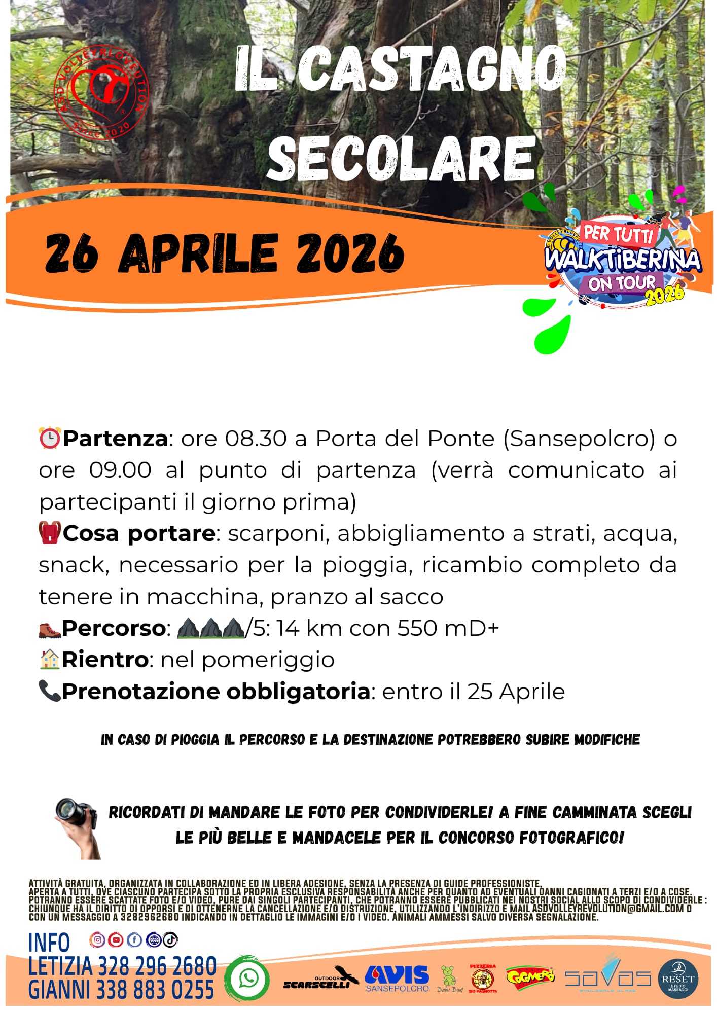 Il Castagno Secolare Eng