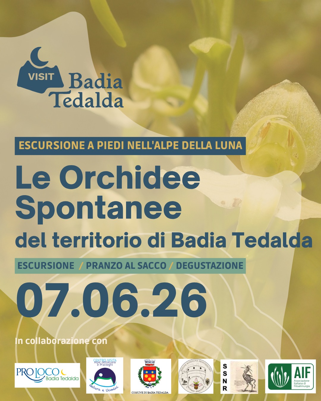 Orchidee Spontanee