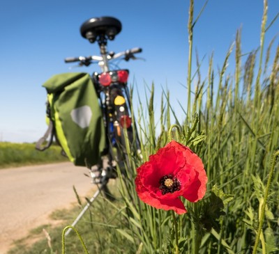 Tutti i servizi per le vostre attivit outdoor