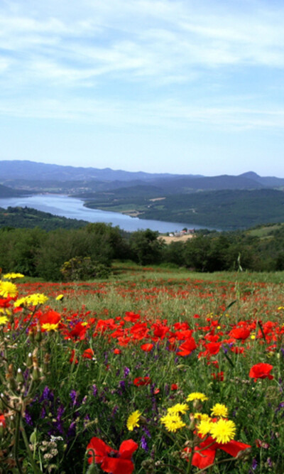Primavera