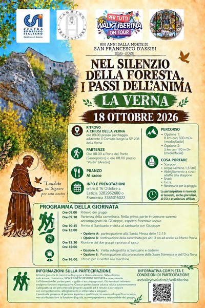 Nel silenzio della Foresta