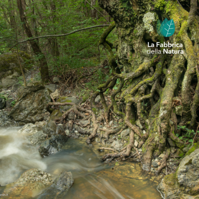 Trekking - Il fondo dell'oceano