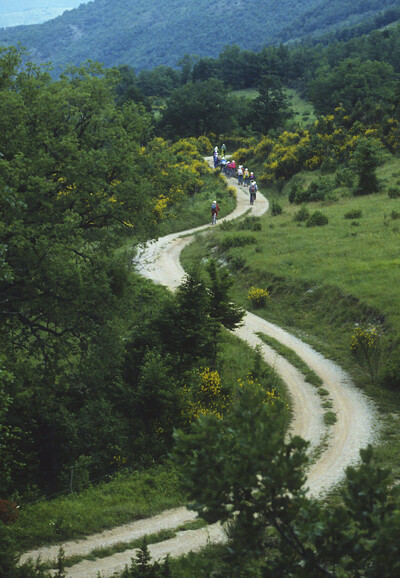 Il Parco Storico della Linea Gotica