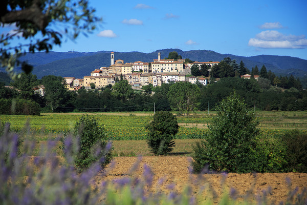 MONTERCHI
