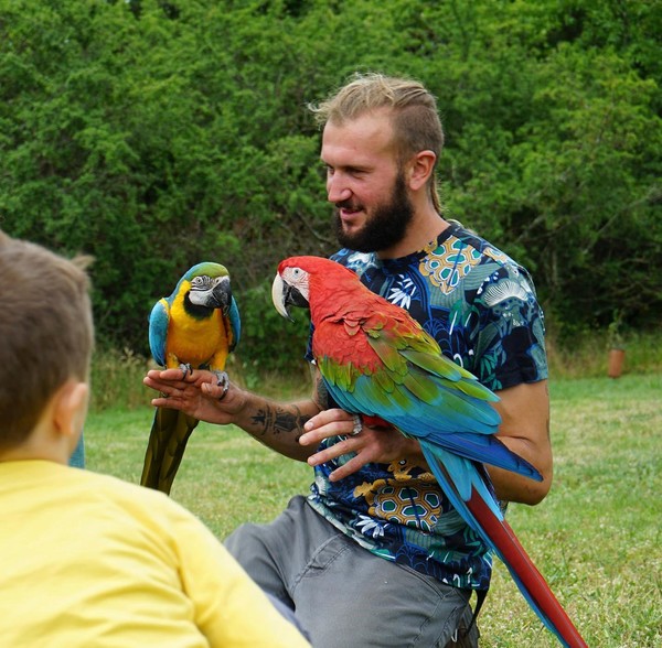 In natura