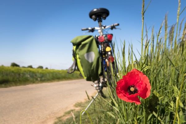 Servizi per l'outdoor