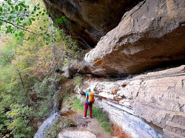 Trekking
