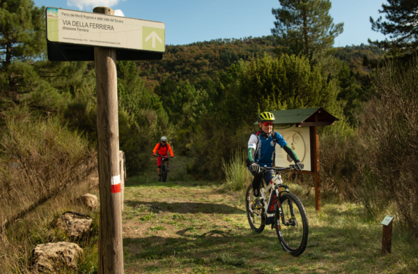 Bike Park Monti delle Pietre Verdi