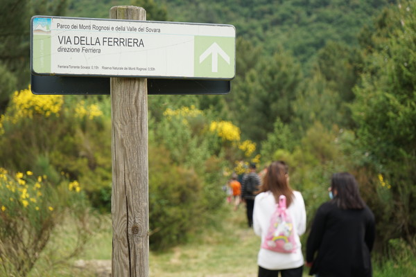 Passeggiate