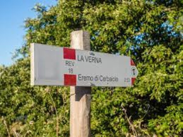 Riserva Naturale Bosco di Montalto