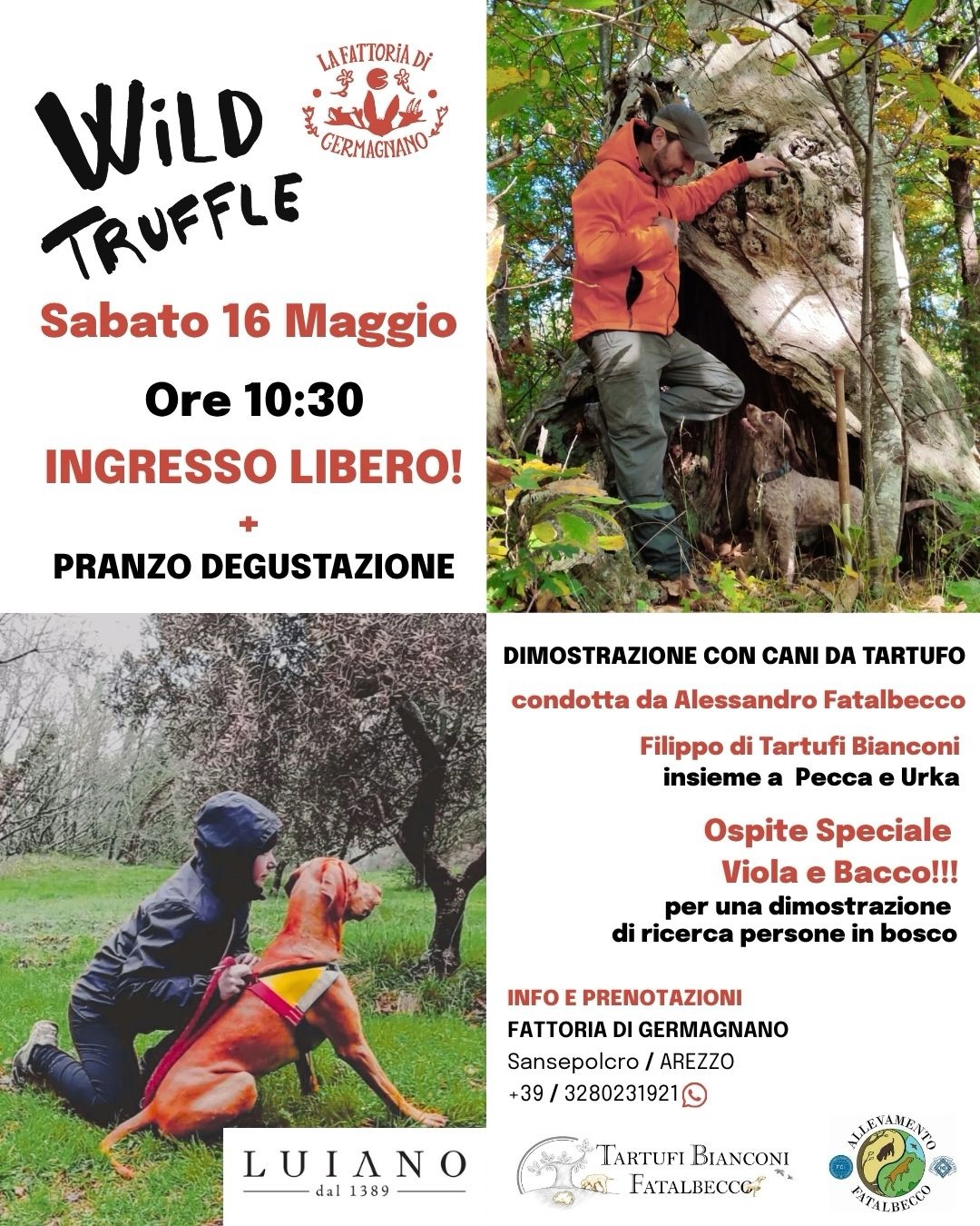 Wild Truffle