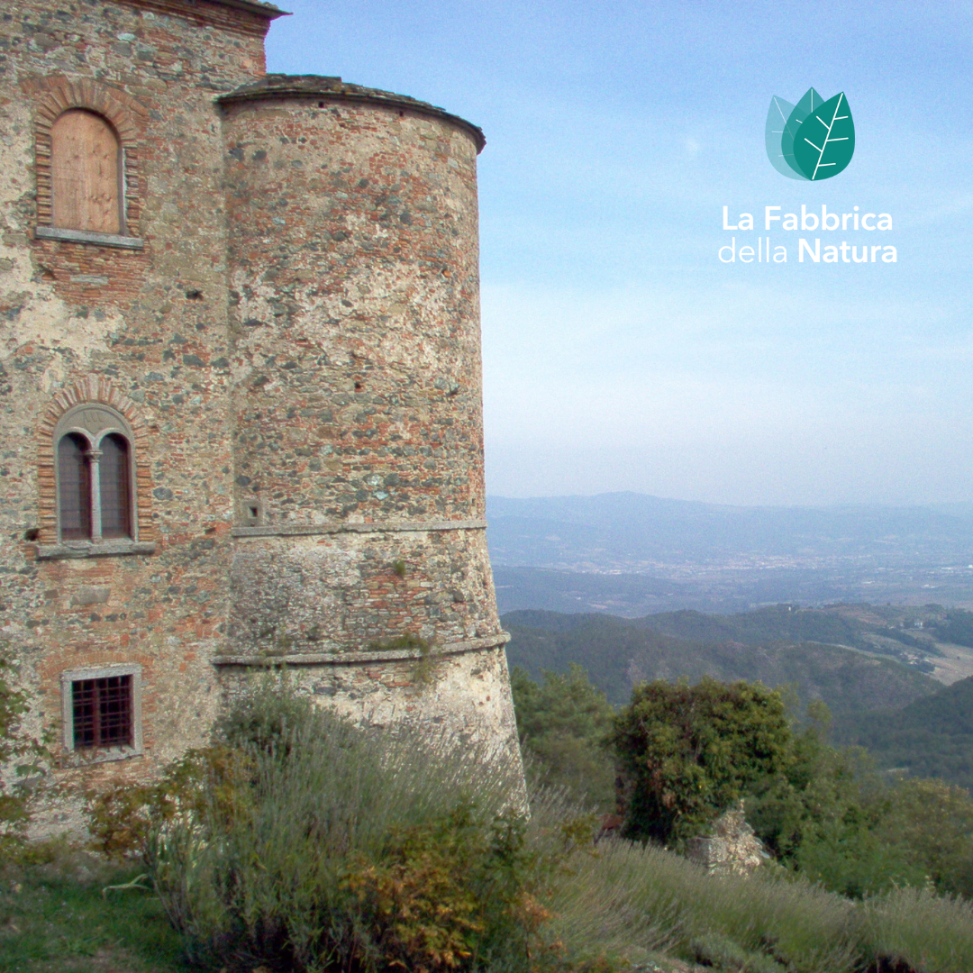 San Francesco e il suo Saio