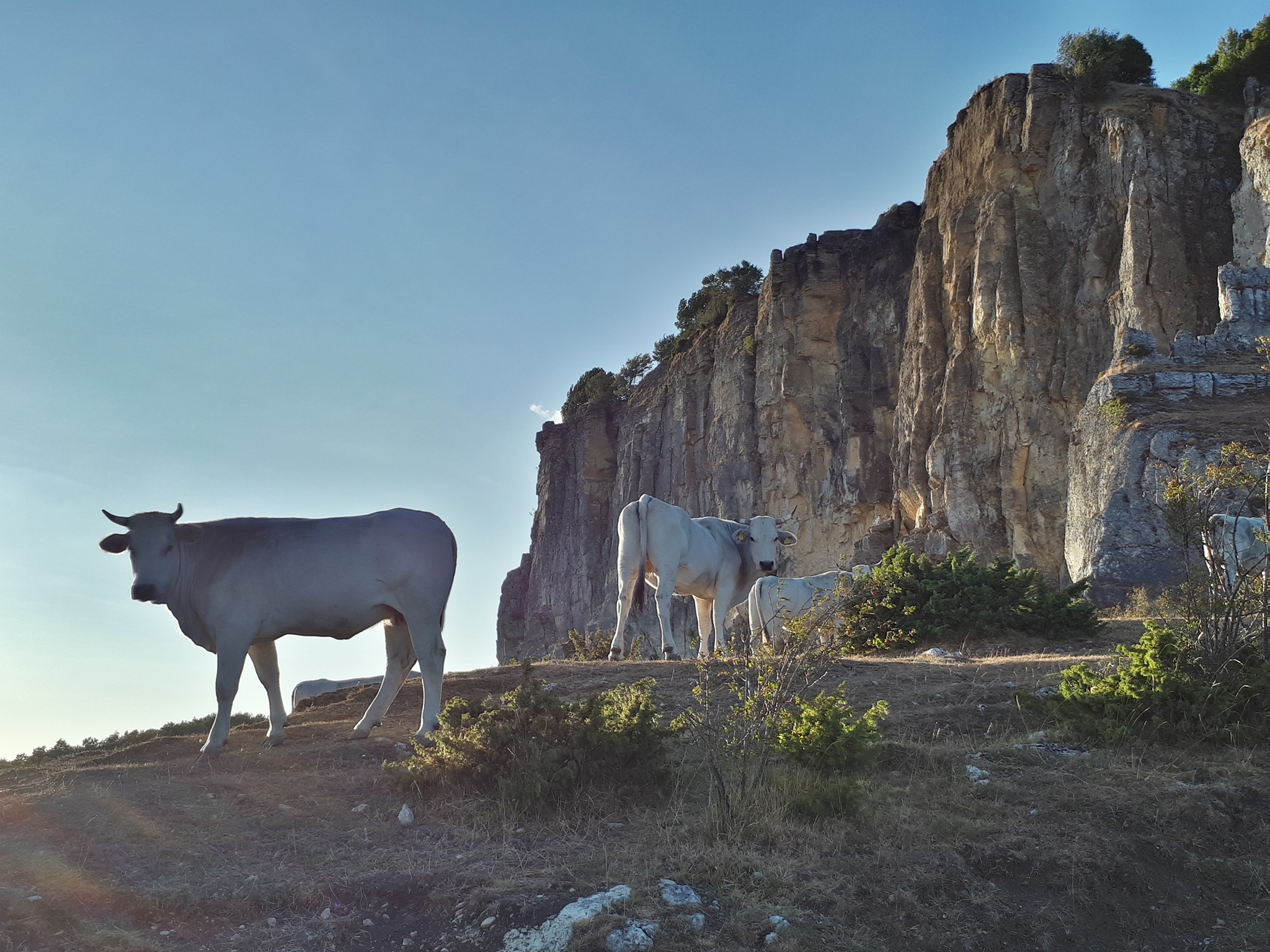 Riserva Naturale Sasso di Simone