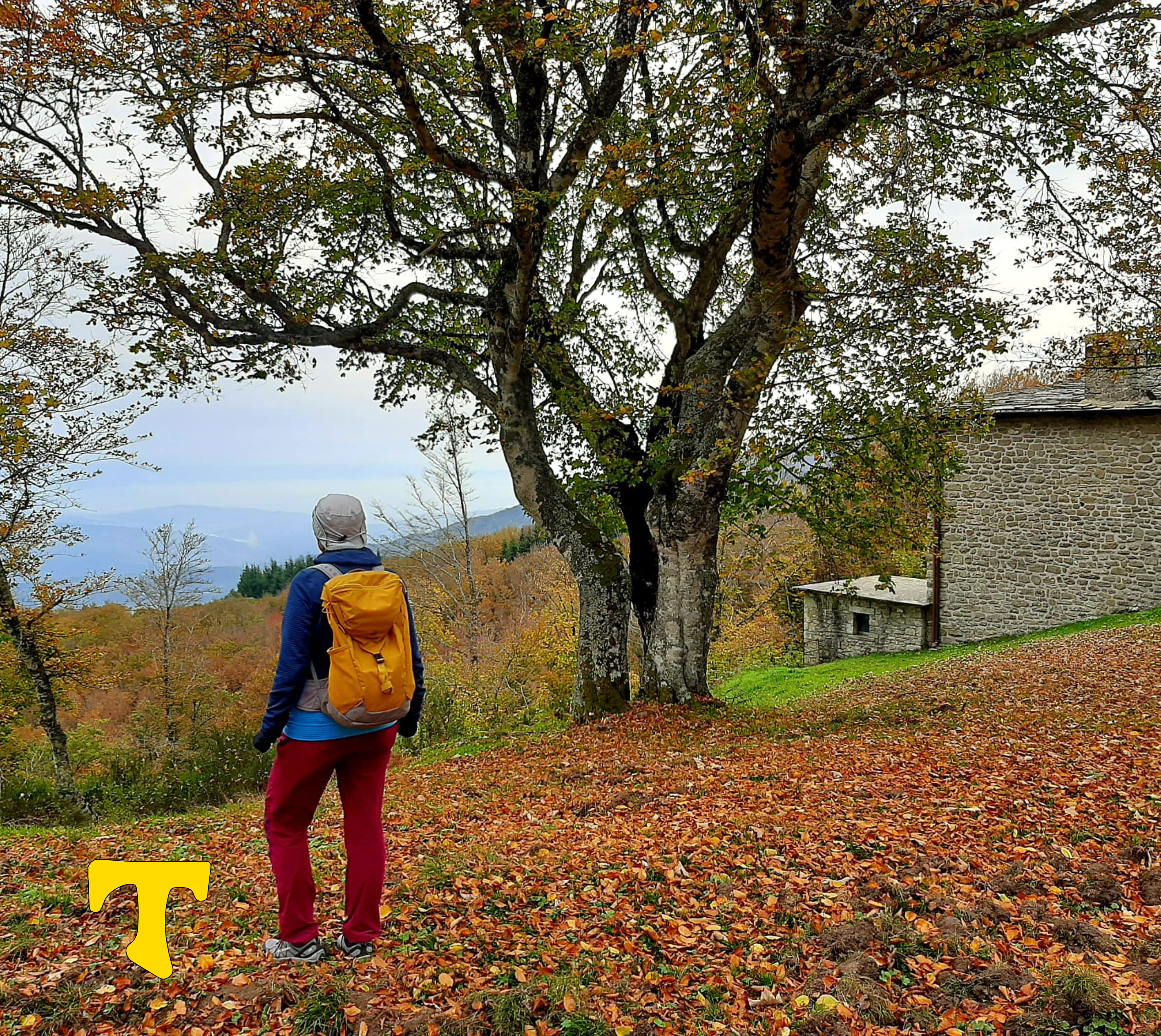 foto trekking a Caprese Michelangelo