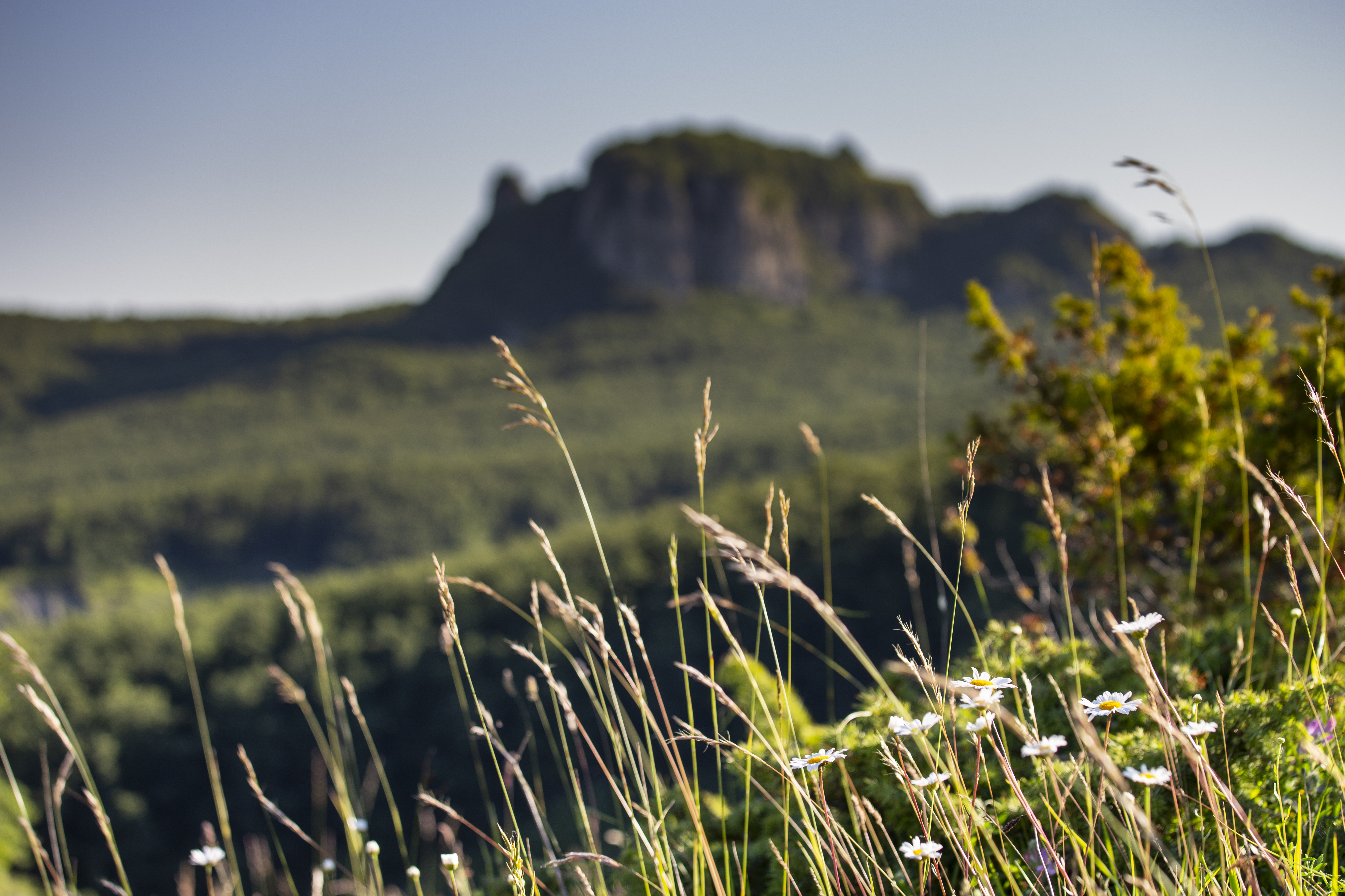 Foto paesaggio e skyline in lontananza del massiccio del Sasso di Simone