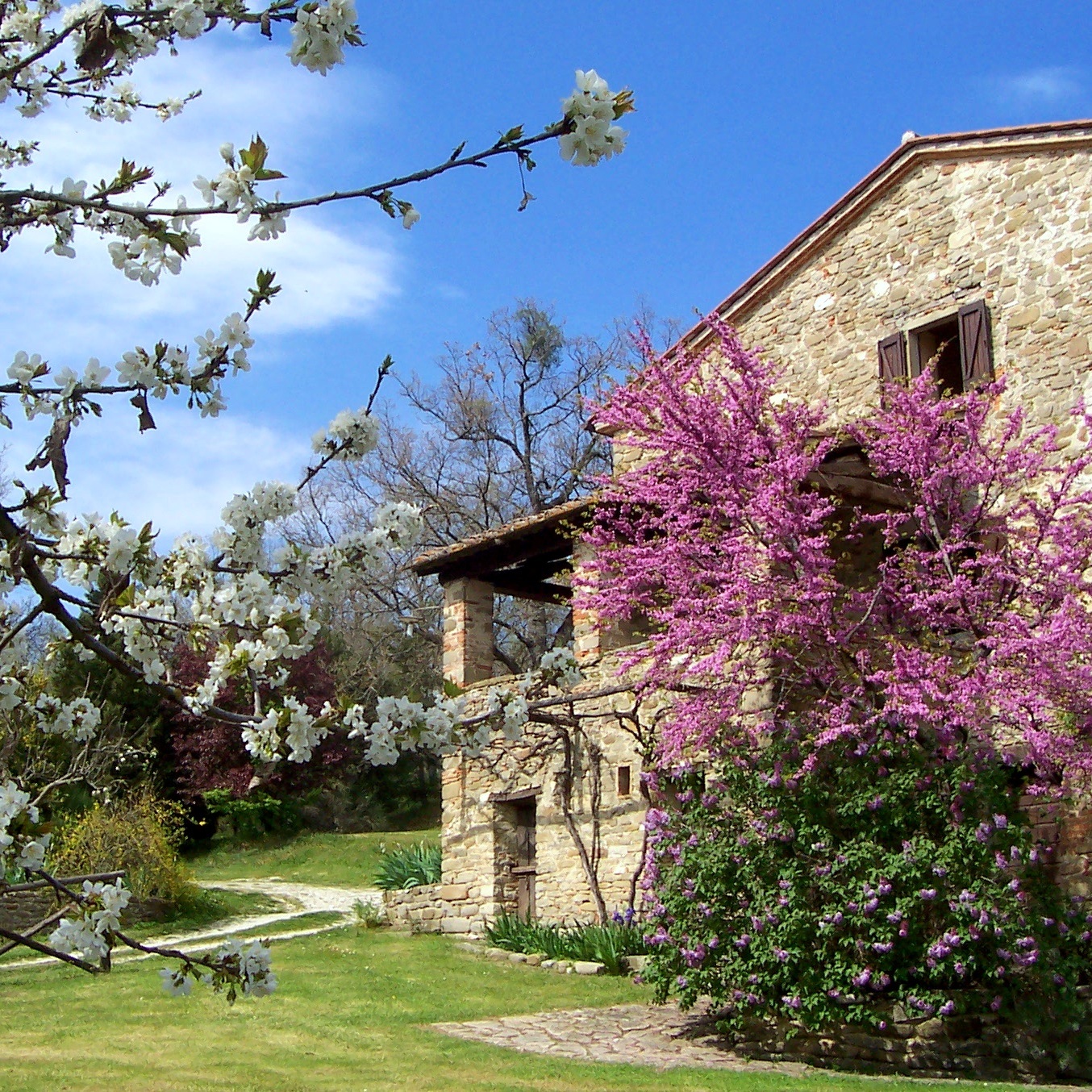 Agriturismo Il Poggio